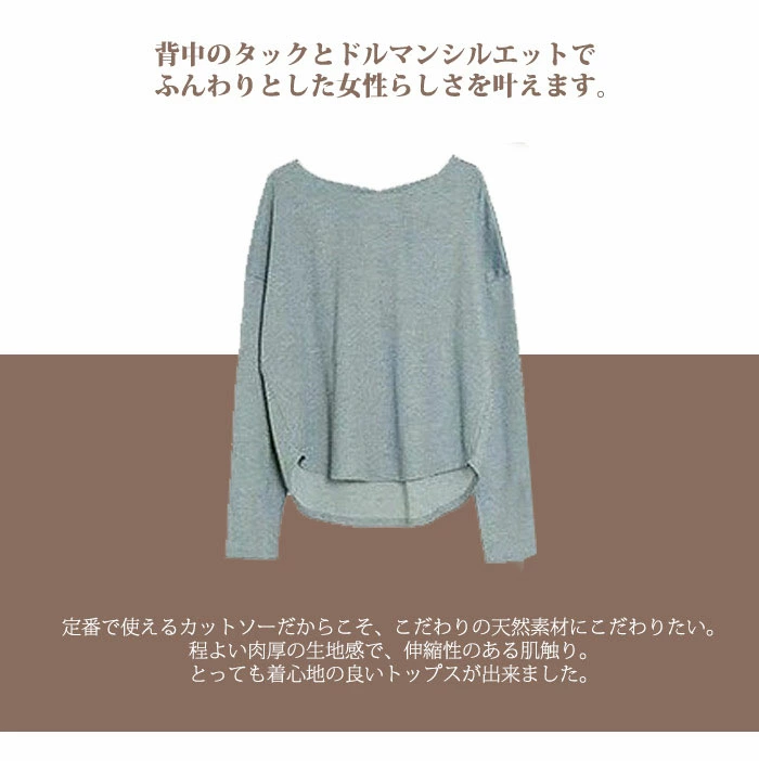 tシャツ カットソー レディース ブラウス ボトルネック 長袖 tシャツ ani2029