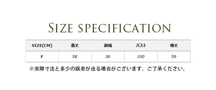 シアー タートルネック プルオーバー 秋 カットソー シースルー トップス ブラウス he1201